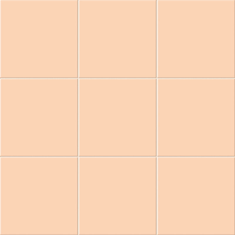 Beige 2 Brillo