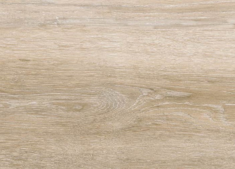 Atelier Beige