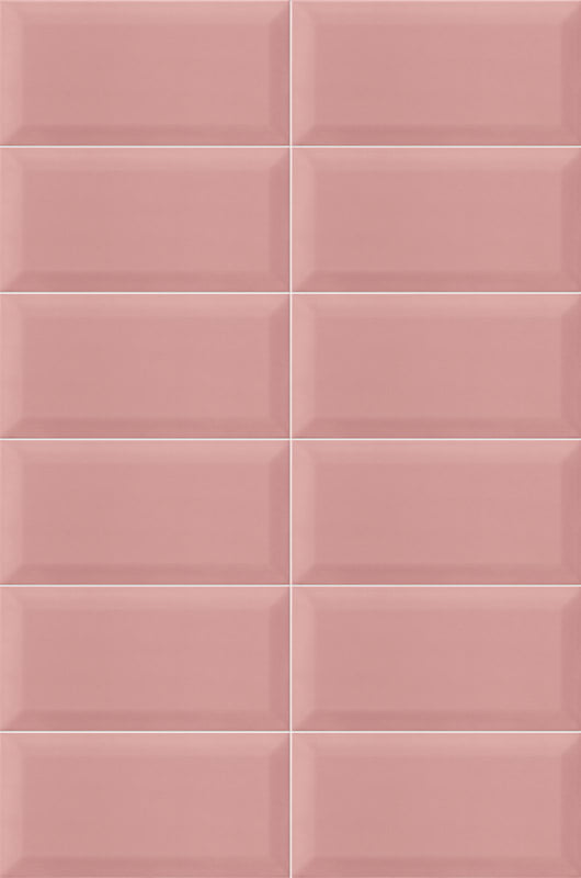 Bissel Pink