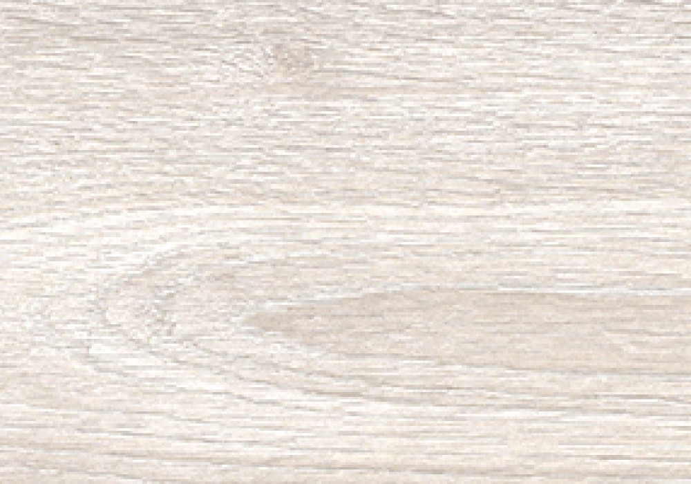 NOBU BONE